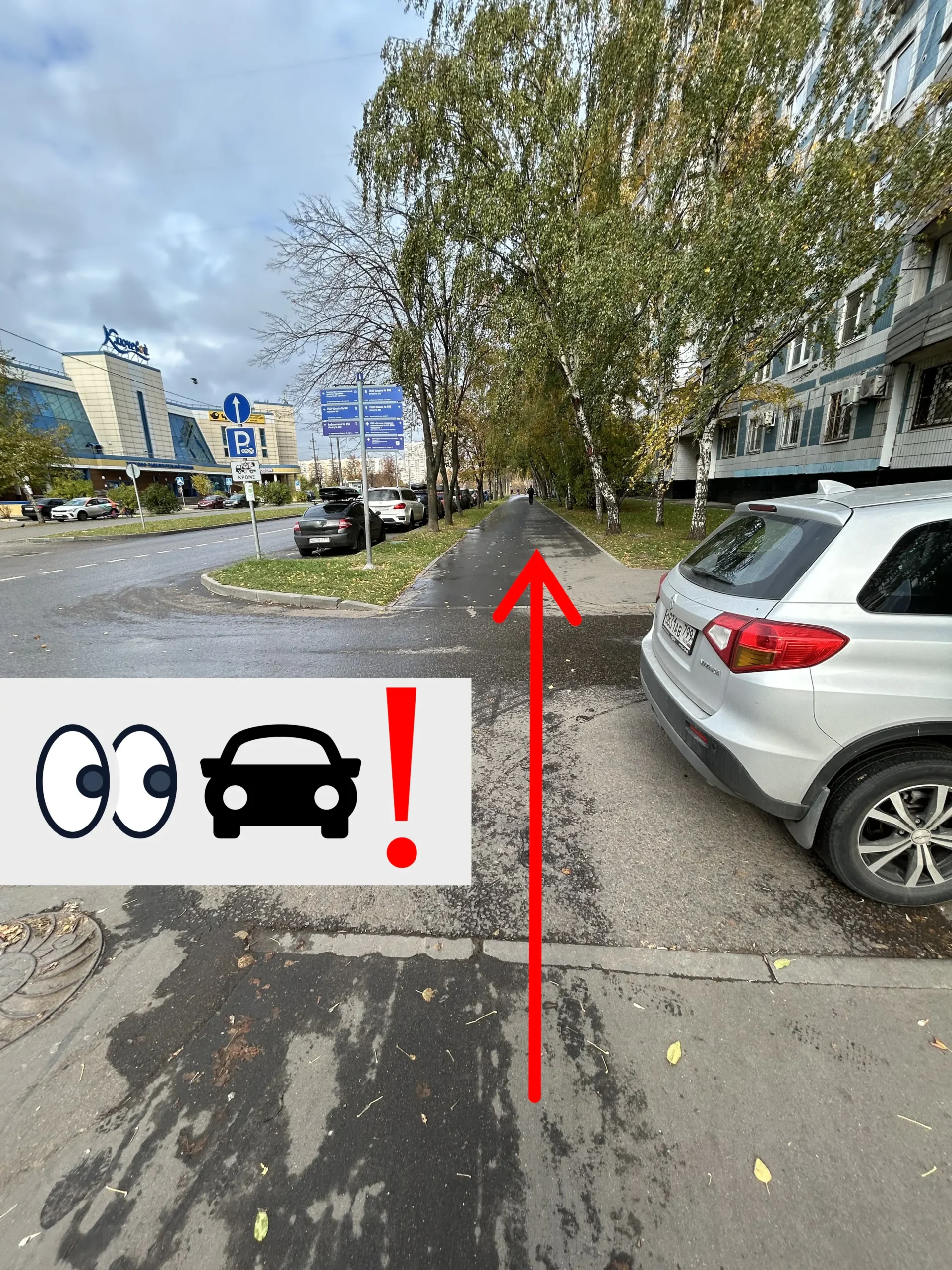 Перейти дорогу
