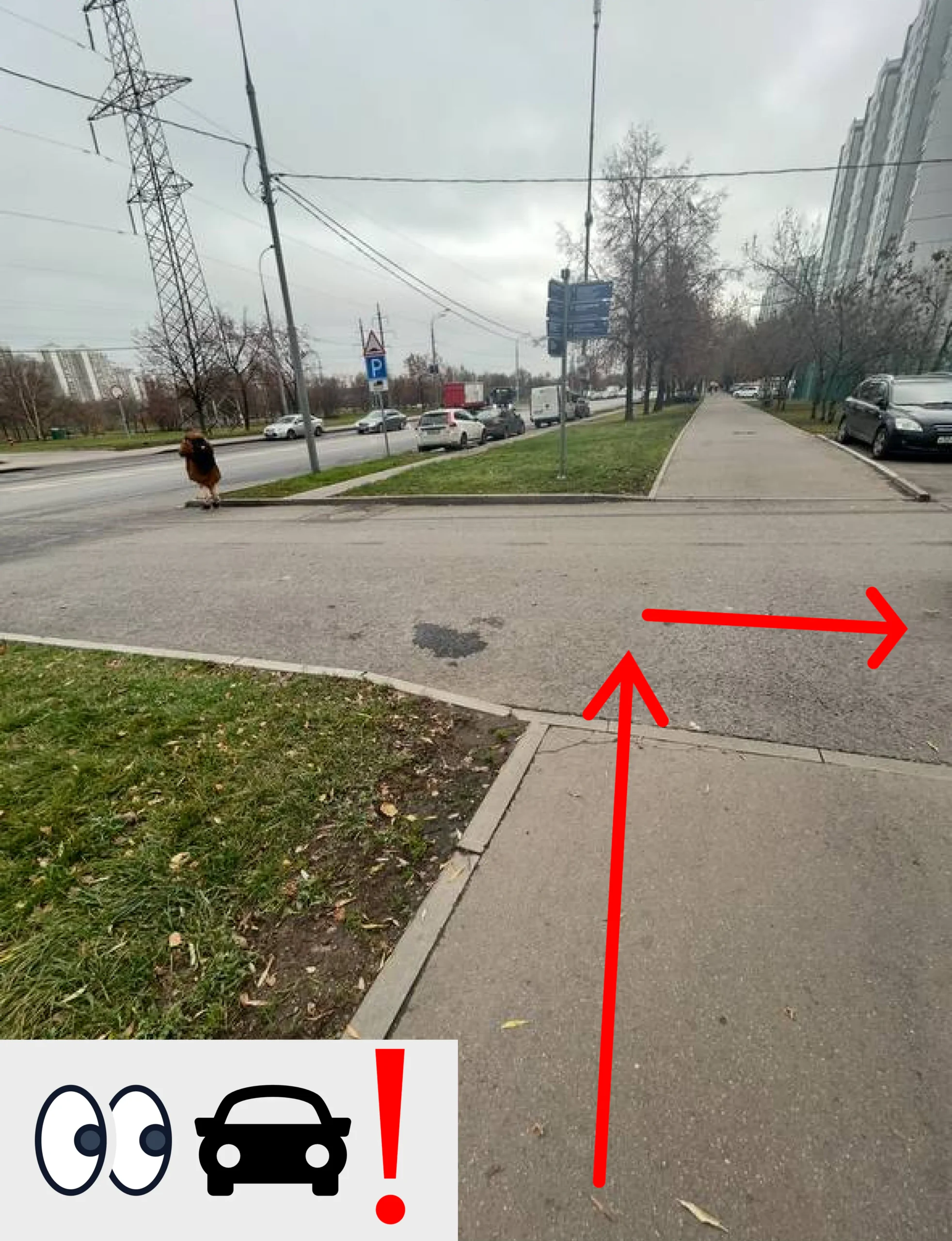 Перейти дорогу
