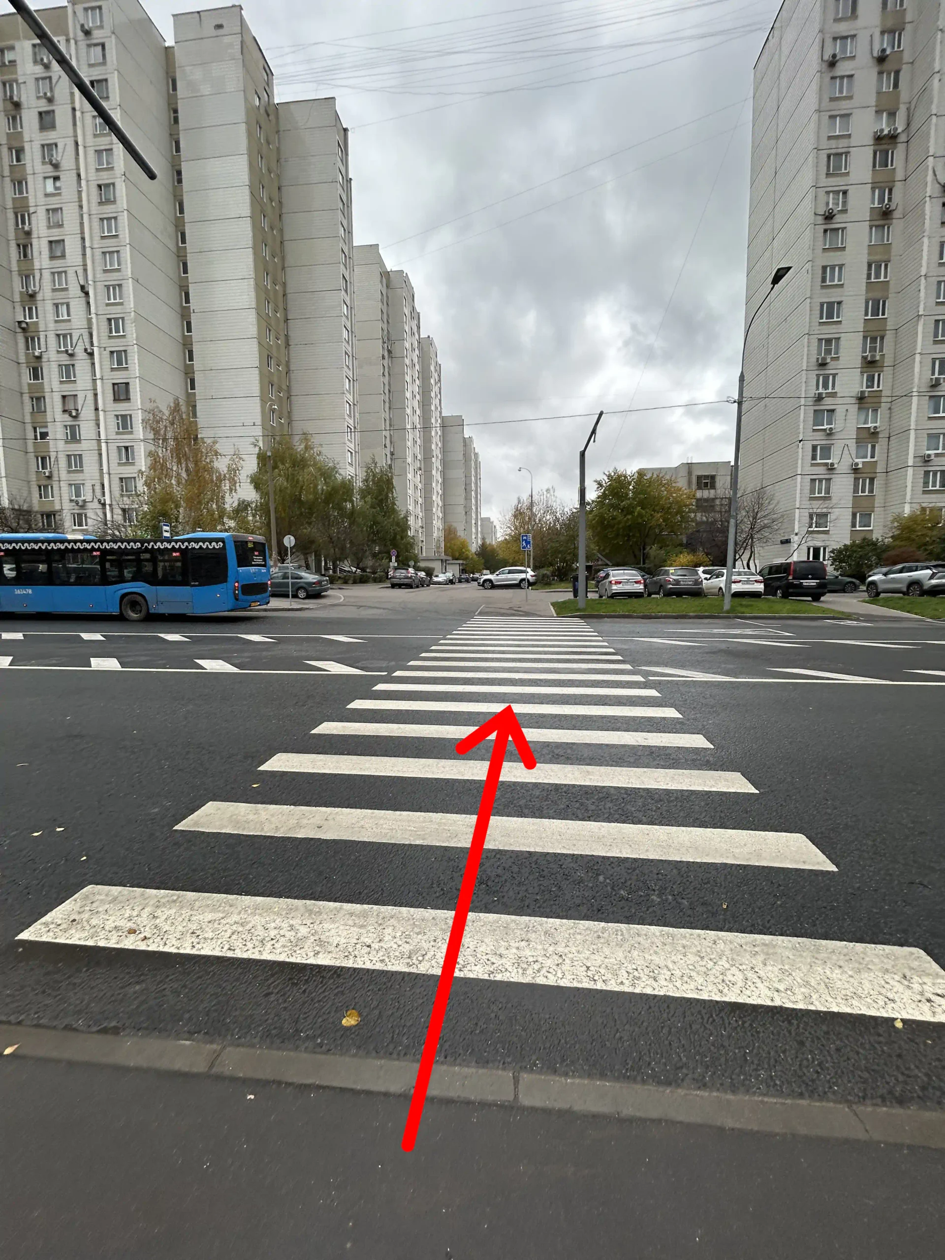 Перейти дорогу