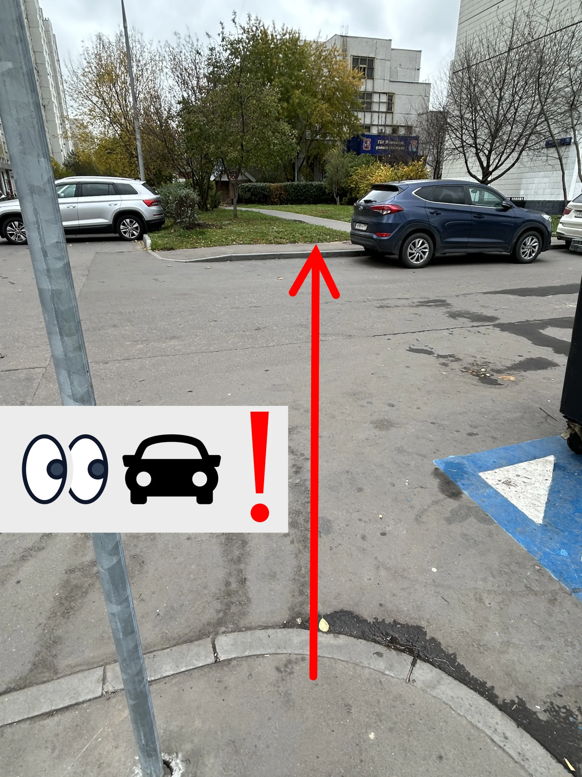 Перейти дорогу